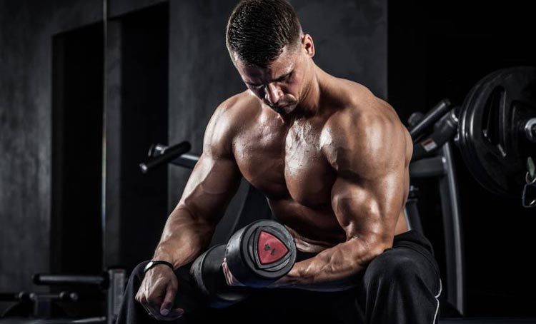 Bodybuilder biceps workout