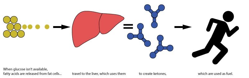 How Ketones Are Created