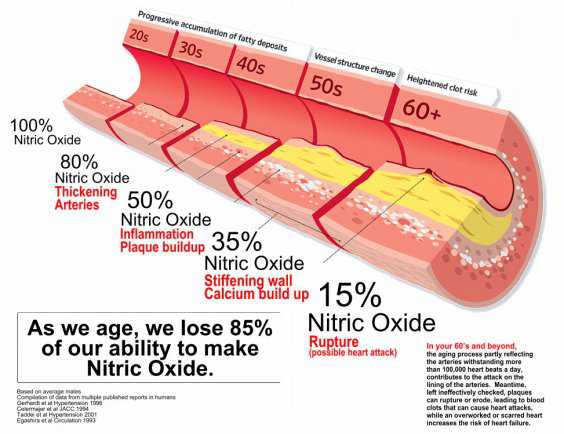 Nitric Oxide Depletion Due To Aging
