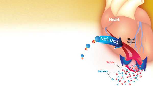 Nitric Oxide Improves Heart Health